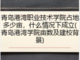 青岛港湾职业技术学院占地多少亩，什么情况下成立(青岛港湾学院亩数及建校背景)