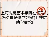 上海视觉艺术学院在读期间怎么申请助学贷款(上视觉助学贷款)