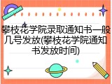 攀枝花学院录取通知书一般几号发放(攀枝花学院通知书发放时间)