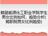 鹤壁能源化工职业学院学生男女比例如何，趋势分析(鹤职院男女比例趋势)