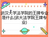 武汉大学法学院的王牌专业是什么(武大法学院王牌专业)