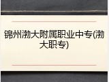 锦州渤大附属职业中专(渤大职专)