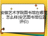 安徽艺术学院图书馆在哪里，怎么样(安艺图书馆位置评价)