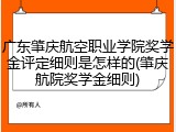 广东肇庆航空职业学院奖学金评定细则是怎样的(肇庆航院奖学金细则)