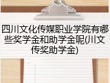 四川文化传媒职业学院有哪些奖学金和助学金呢(川文传奖助学金)