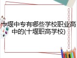 十堰中专有哪些学校职业高中的(十堰职高学校)