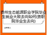 贵州生态能源职业学院毕业生就业大致去向如何(贵职院毕业生去向)