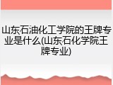 山东石油化工学院的王牌专业是什么(山东石化学院王牌专业)