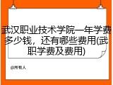 武汉职业技术学院一年学费多少钱，还有哪些费用(武职学费及费用)