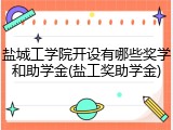 盐城工学院开设有哪些奖学和助学金(盐工奖助学金)