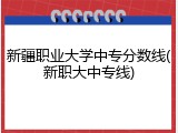 新疆职业大学中专分数线(新职大中专线)