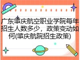 广东肇庆航空职业学院每年招生人数多少，政策变动如何(肇庆航院招生政策)