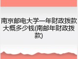 南京邮电大学一年财政拨款大概多少钱(南邮年财政拨款)