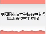 阜阳职业技术学校有中专吗(阜阳职校有中专吗)