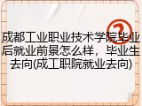 成都工业职业技术学院毕业后就业前景怎么样，毕业生去向(成工职院就业去向)