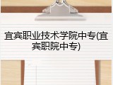 宜宾职业技术学院中专(宜宾职院中专)
