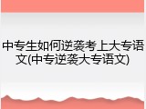 中专生如何逆袭考上大专语文(中专逆袭大专语文)