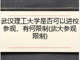 武汉理工大学是否可以进校参观，有何限制(武大参观限制)