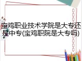 宝鸡职业技术学院是大专还是中专(宝鸡职院是大专吗)