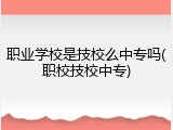 职业学校是技校么中专吗(职校技校中专)