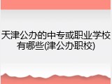 天津公办的中专或职业学校有哪些(津公办职校)