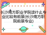 长沙南方职业学院读什么专业比较有前景(长沙南方职院前景专业)