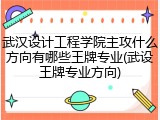 武汉设计工程学院主攻什么方向有哪些王牌专业(武设王牌专业方向)