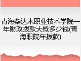 青海柴达木职业技术学院一年财政拨款大概多少钱(青海职院年拨款)