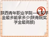 陕西青年职业学院一年奖学金最多能拿多少(陕青院奖学金最高额)