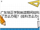 广东培正学院就读期间挂科了怎么办呢？(挂科怎么办)