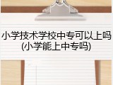 小学技术学校中专可以上吗(小学能上中专吗)
