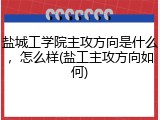 盐城工学院主攻方向是什么，怎么样(盐工主攻方向如何)
