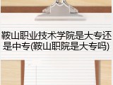 鞍山职业技术学院是大专还是中专(鞍山职院是大专吗)