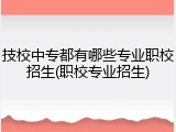 技校中专都有哪些专业职校招生(职校专业招生)