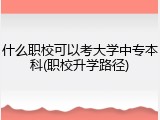 什么职校可以考大学中专本科(职校升学路径)