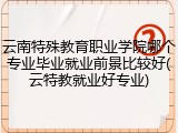 云南特殊教育职业学院哪个专业毕业就业前景比较好(云特教就业好专业)