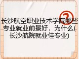 长沙航空职业技术学院哪些专业就业前景好，为什么(长沙航院就业佳专业)