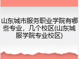 山东城市服务职业学院有哪些专业，几个校区(山东城服学院专业校区)
