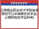 云南锡业职业技术学院就读期间可以申请哪些奖学金(云锡职院奖学金种类)