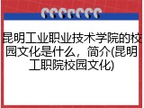 昆明工业职业技术学院的校园文化是什么，简介(昆明工职院校园文化)