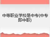中等职业学校是中专(中专即中职)