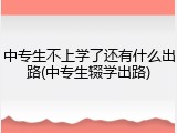 中专生不上学了还有什么出路(中专生辍学出路)