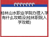 桂林山水职业学院办理入学有什么攻略没(桂林职院入学攻略)