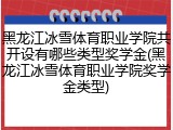 黑龙江冰雪体育职业学院共开设有哪些类型奖学金(黑龙江冰雪体育职业学院奖学金类型)