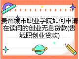 贵州城市职业学院如何申请在读间的创业无息贷款(贵城职创业贷款)