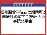 梧州职业学院就读期间可以申请哪些奖学金(梧州职业学院奖学金)