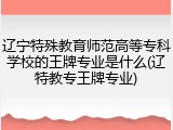 辽宁特殊教育师范高等专科学校的王牌专业是什么(辽特教专王牌专业)