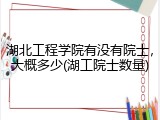 湖北工程学院有没有院士，大概多少(湖工院士数量)