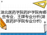 湖北医药学院药护学院有哪些专业，王牌专业分析(湖医药护学院专业分析)