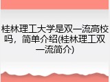 桂林理工大学是双一流高校吗，简单介绍(桂林理工双一流简介)